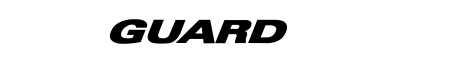 Winguard WT1